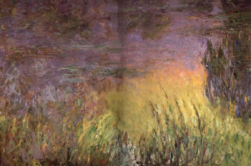 Water Lilies at Sunset, Claude Monet